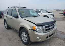 2011 FORD ESCAPE XLT