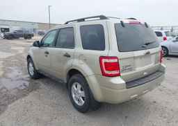 2011 FORD ESCAPE XLT