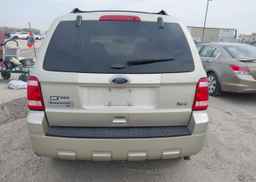 2011 FORD ESCAPE XLT
