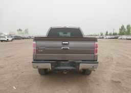 2013 FORD F150 SUPERCREW