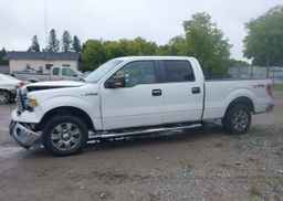 2010 FORD F-150