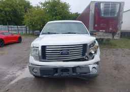 2010 FORD F-150