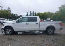 2010 FORD F-150