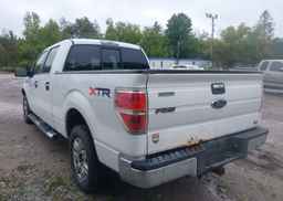 2010 FORD F-150