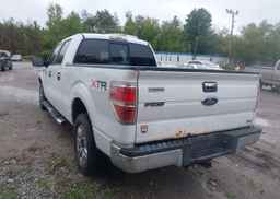 2010 FORD F-150