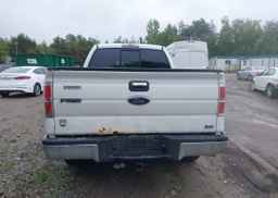 2010 FORD F-150