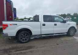 2010 FORD F-150