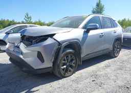 2023 TOYOTA RAV4 HYBRID