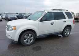 2012 FORD ESCAPE XLT
