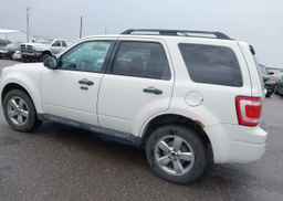2012 FORD ESCAPE XLT