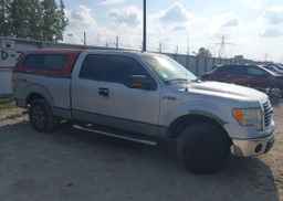 2010 FORD F-150 XLT