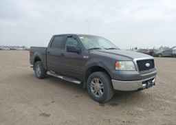 2006 FORD F-150 FX4