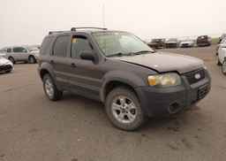 2006 FORD ESCAPE XLT