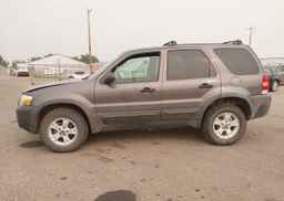 2006 FORD ESCAPE XLT