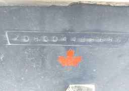 1986 Doral CITATION