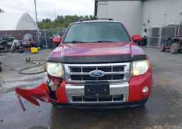 2011 FORD ESCAPE LIMITED