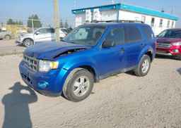 2012 FORD ESCAPE XLT