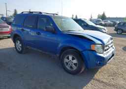 2012 FORD ESCAPE XLT