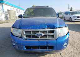 2012 FORD ESCAPE XLT