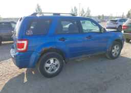 2012 FORD ESCAPE XLT