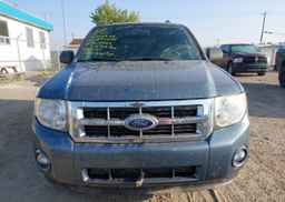2011 FORD ESCAPE XLT