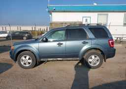 2011 FORD ESCAPE XLT