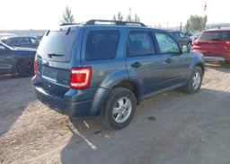 2011 FORD ESCAPE XLT