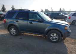 2011 FORD ESCAPE XLT
