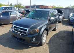 2011 FORD ESCAPE XLT