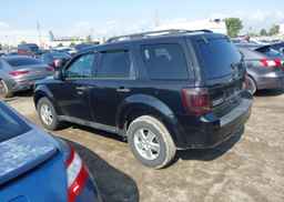 2011 FORD ESCAPE XLT