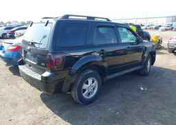 2011 FORD ESCAPE XLT