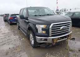2015 FORD F-150 XLT