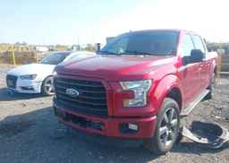 2015 FORD F-150 XLT