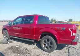 2015 FORD F-150 XLT