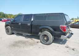 2013 FORD F-150 XLT