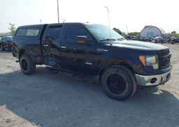 2013 FORD F-150 XLT
