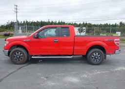 2011 FORD F-150 XLT