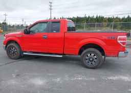 2011 FORD F-150 XLT