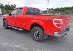 2011 FORD F-150 XLT