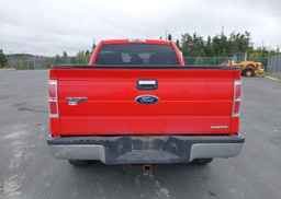2011 FORD F-150 XLT