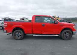 2011 FORD F-150 XLT