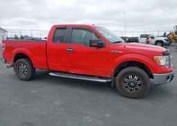 2011 FORD F-150 XLT