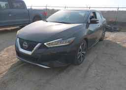 2023 NISSAN MAXIMA SL