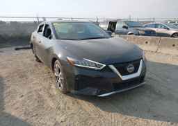 2023 NISSAN MAXIMA SL