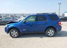 2008 FORD ESCAPE XLT