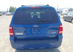 2008 FORD ESCAPE XLT