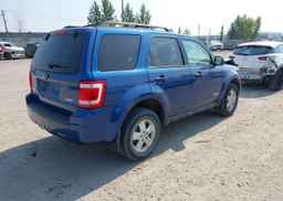 2008 FORD ESCAPE XLT