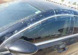 2010 VOLKSWAGEN CC LUXURY