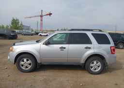 2010 FORD ESCAPE XLT AUTOMATIC