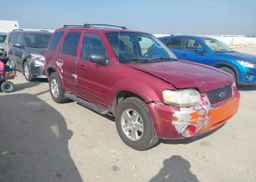 2007 FORD ESCAPE LIMITED